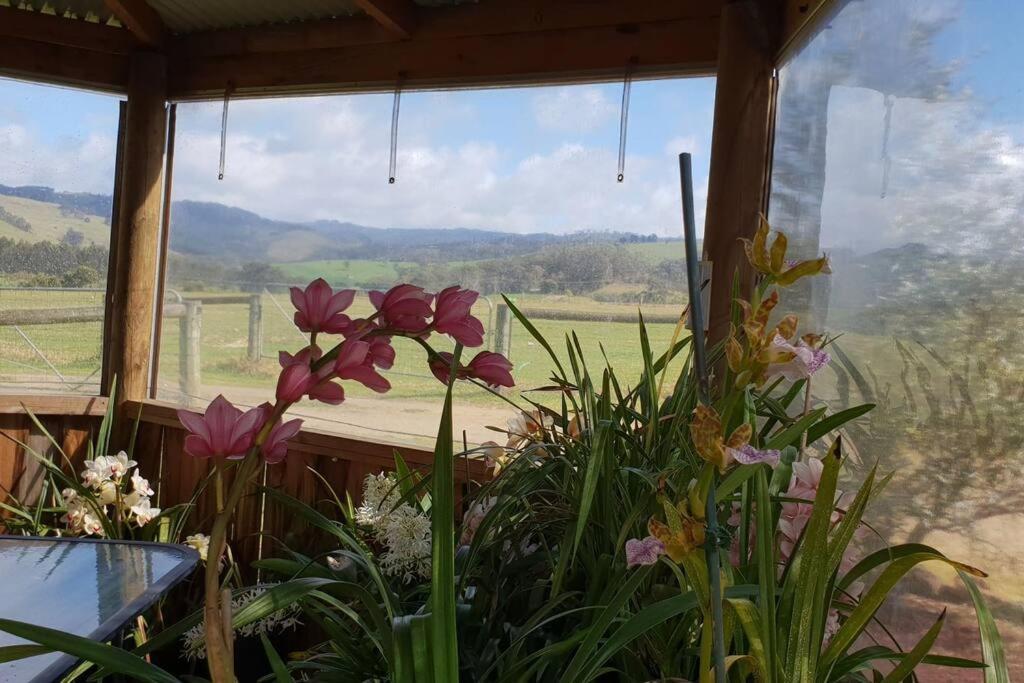Handsome Hills Dairy Retreat Won Wron المظهر الخارجي الصورة